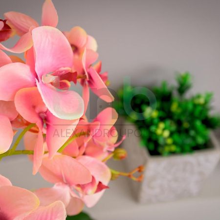 The Floral Suite Dedeağaç Dış mekan fotoğraf