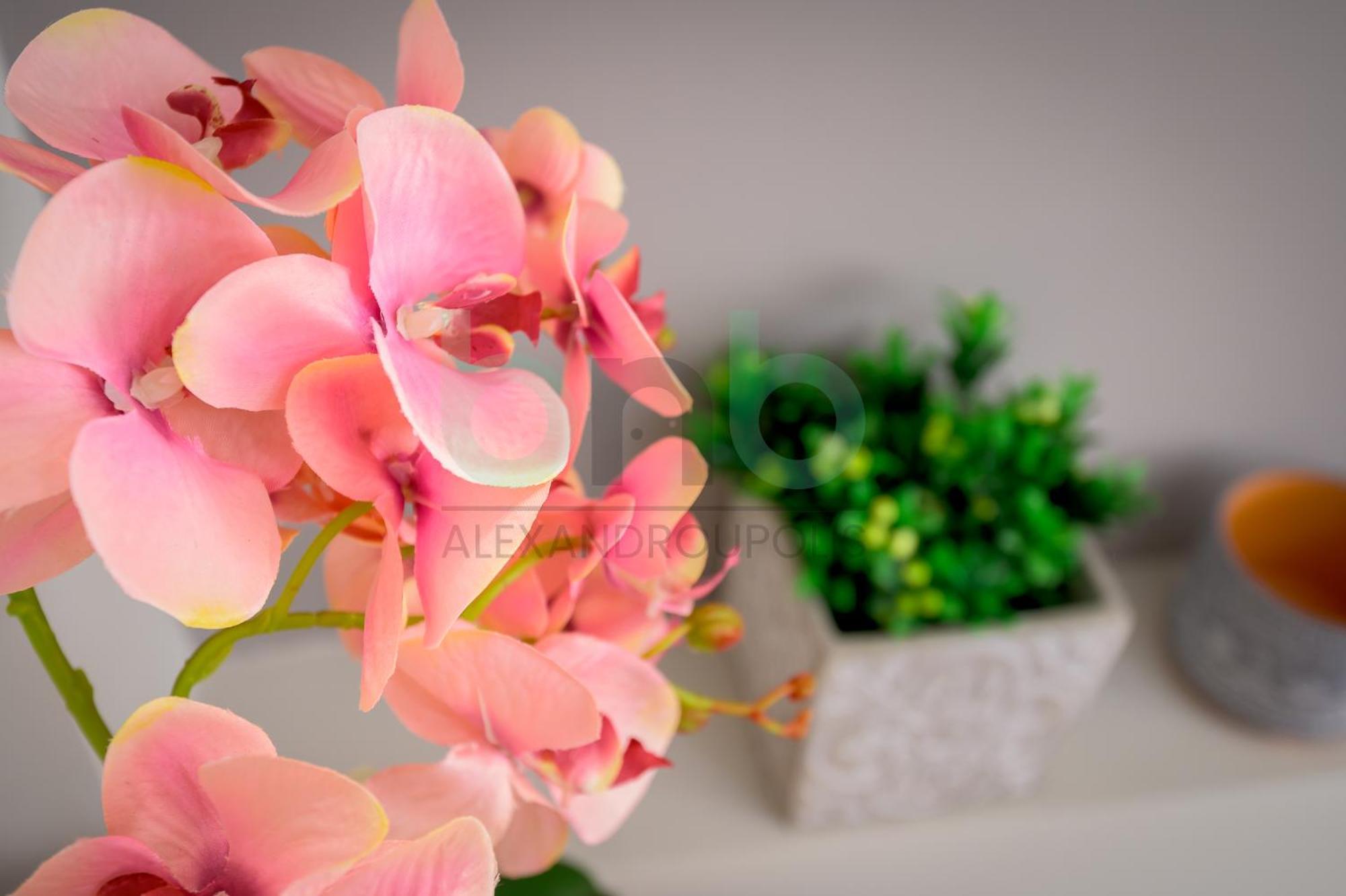 The Floral Suite Dedeağaç Dış mekan fotoğraf