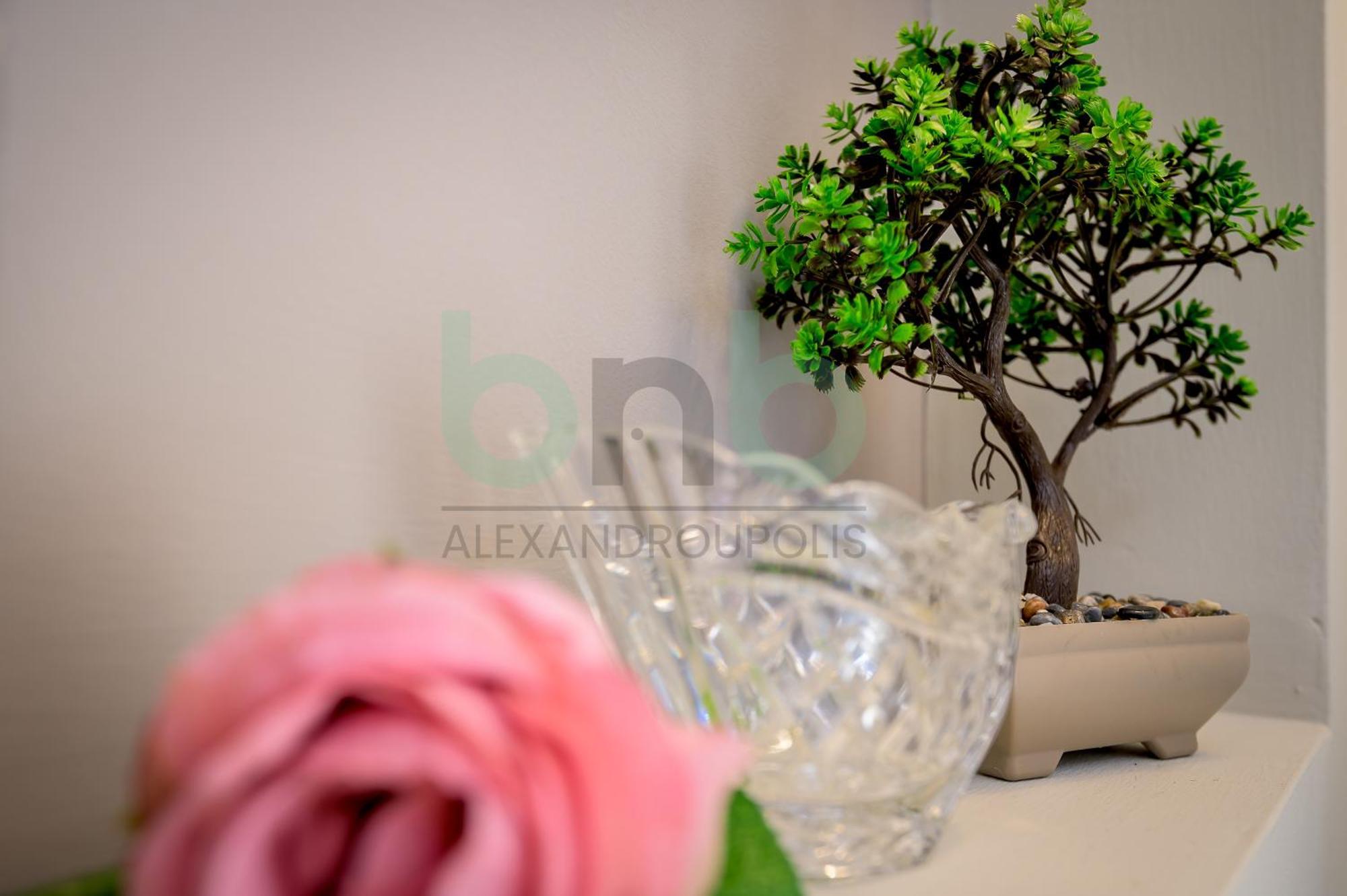 The Floral Suite Dedeağaç Dış mekan fotoğraf