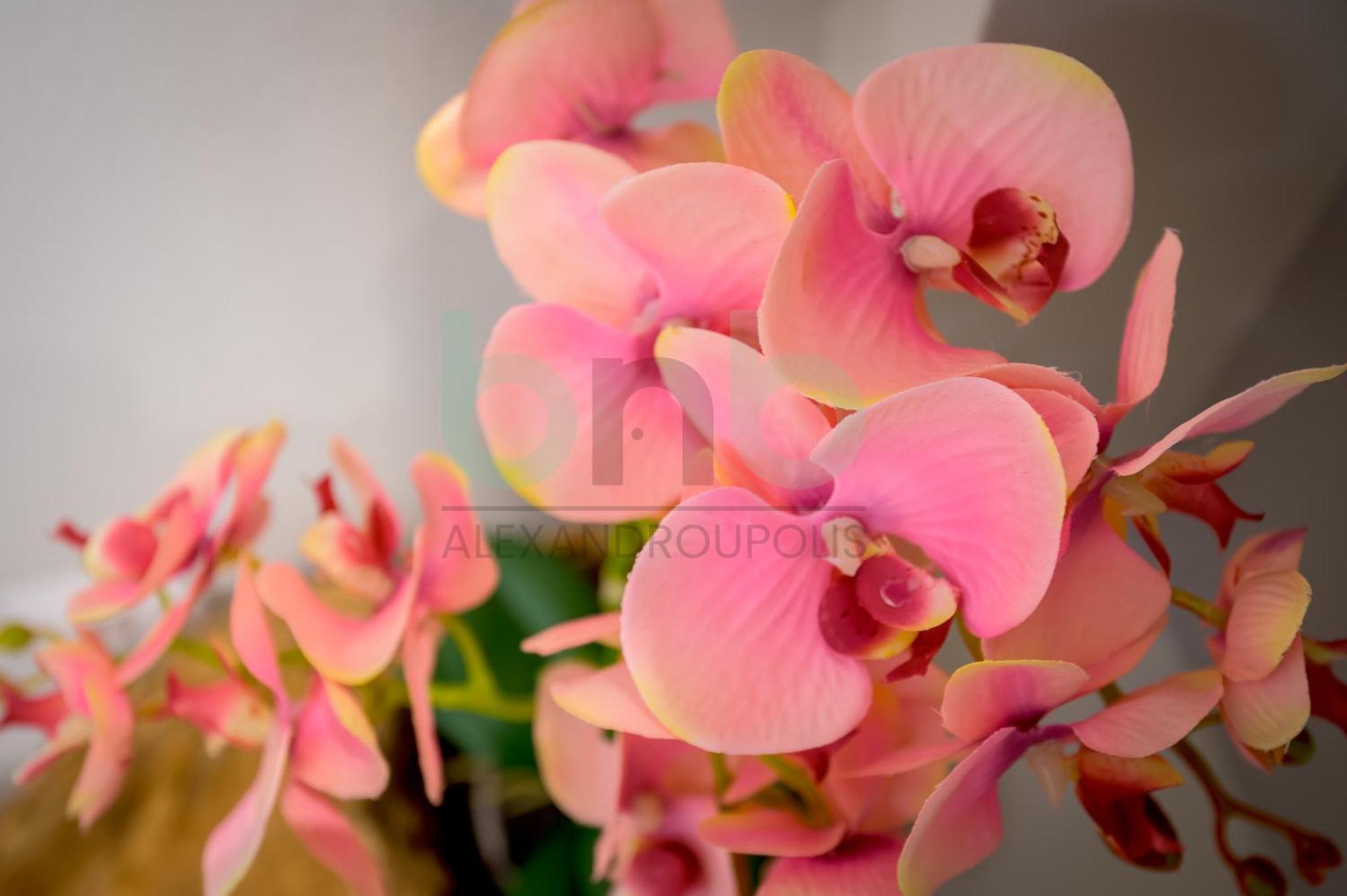 The Floral Suite Dedeağaç Dış mekan fotoğraf