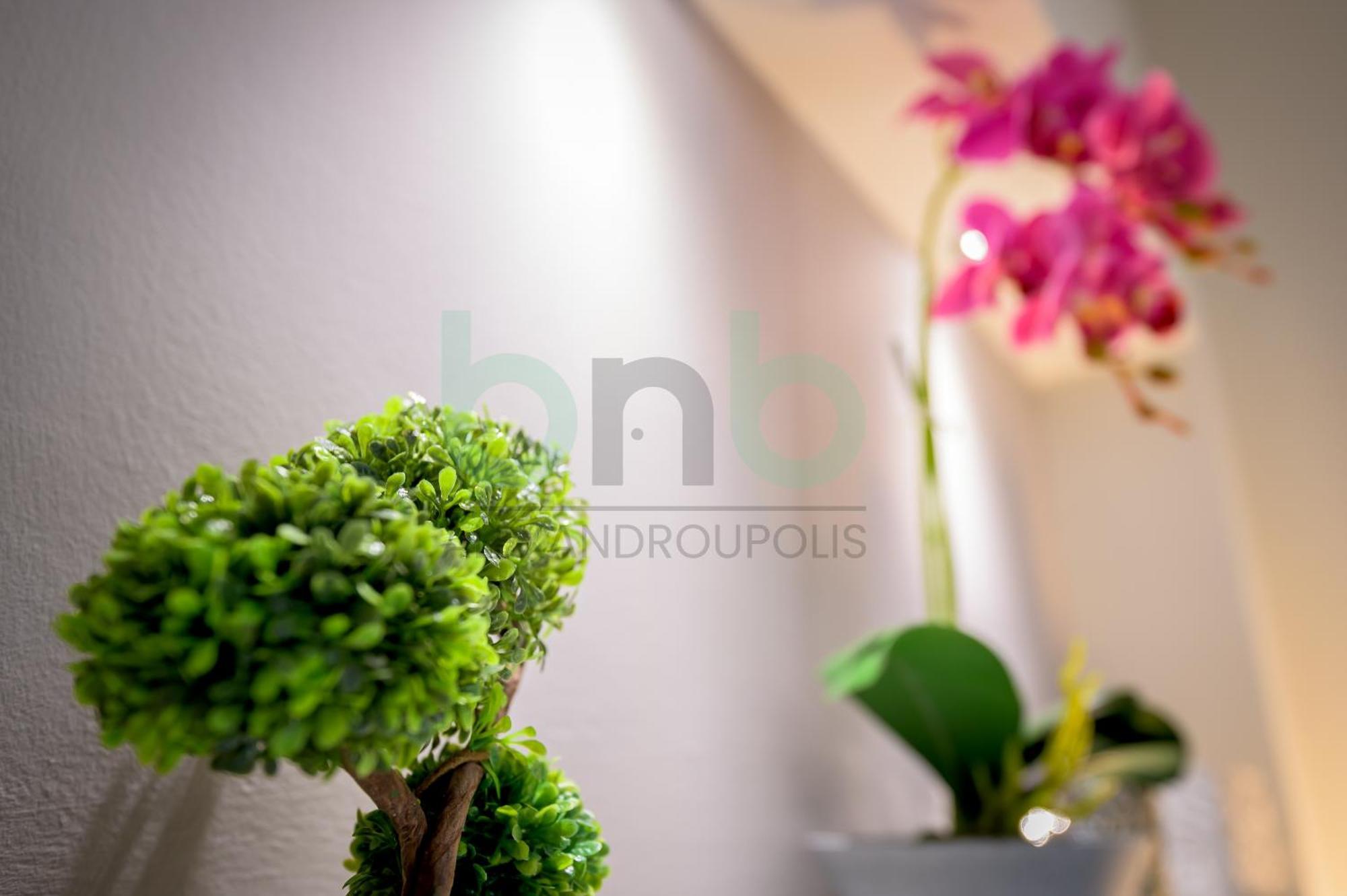 The Floral Suite Dedeağaç Dış mekan fotoğraf